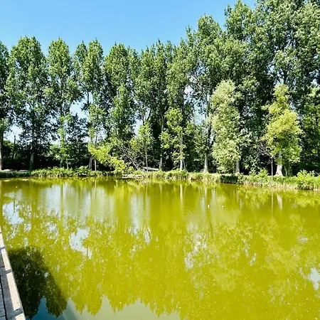 Avec Terrasse Sur Pilotis Vue Sur L'etang Chalet Rue (Somme)